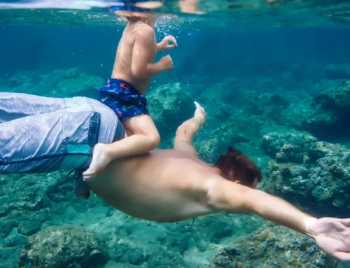 Novine u okviru Travelport+ platforme